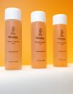 Flawless Compananion Toner 2