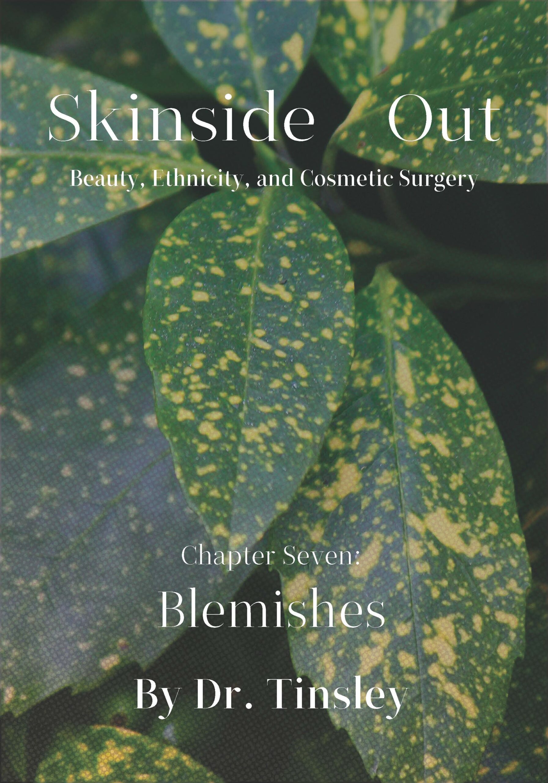 Skinside Out: Chapter 7 -Blemishes (eBook)