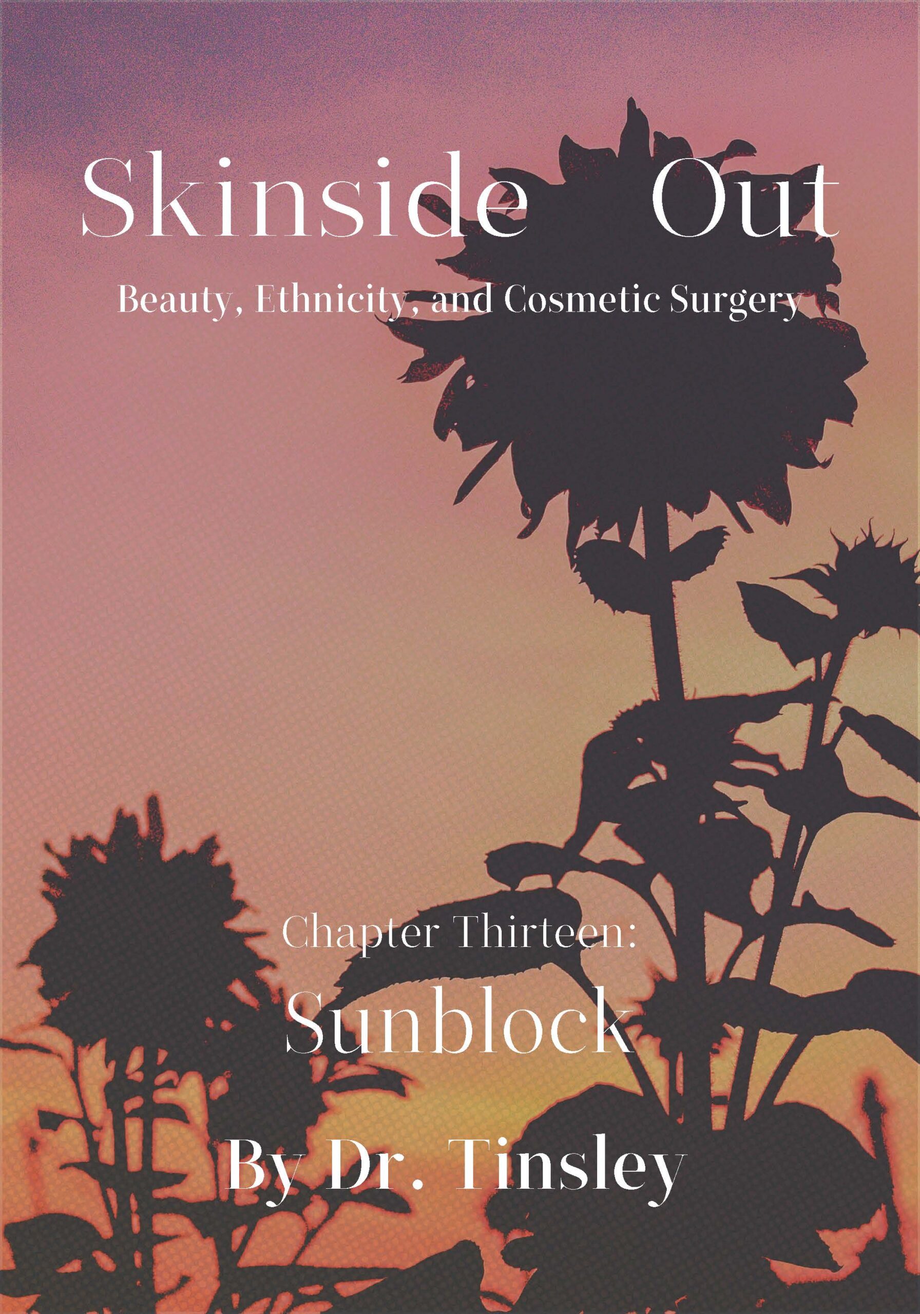 Skinside Out: Chapter 13 - Sunblock (eBook)